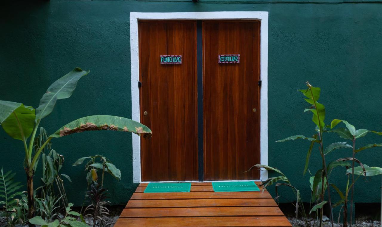 Hotel Boutique The Green Jungle House Puerto Viejo de Talamanca Luaran gambar