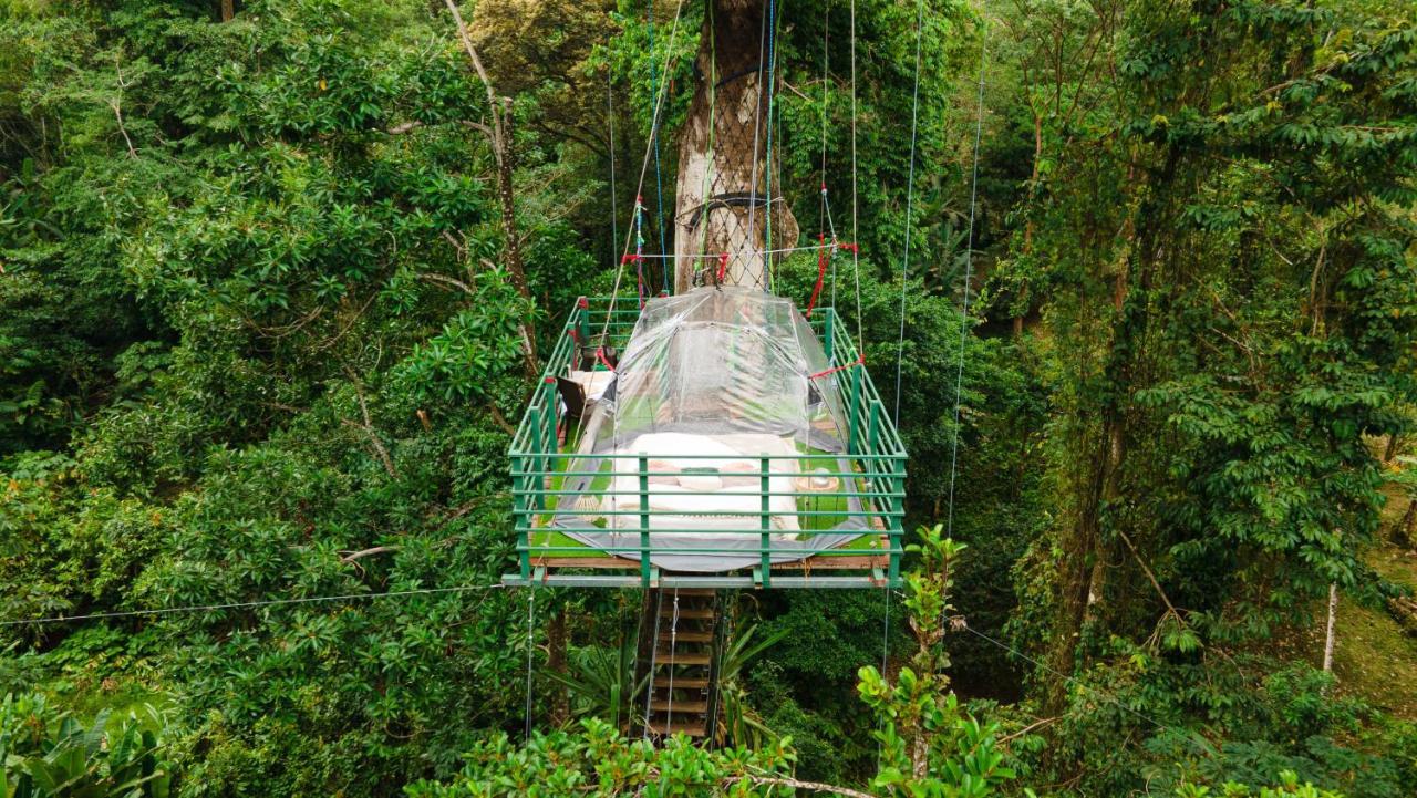 Hotel Boutique The Green Jungle House Puerto Viejo de Talamanca Luaran gambar