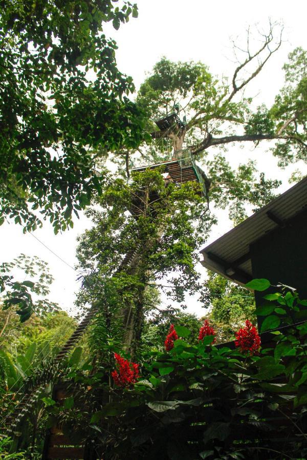 Hotel Boutique The Green Jungle House Puerto Viejo de Talamanca Luaran gambar